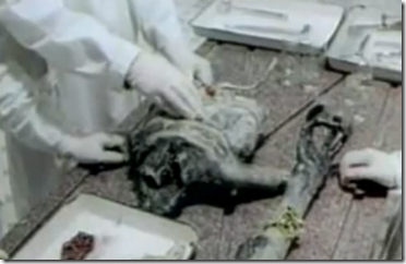 autopia sovietico thumb Autópsia de ET recolhido na queda de um OVNI na Rússia em 1969