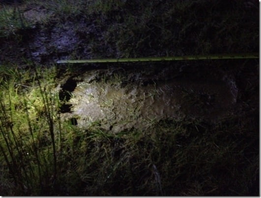 pegada pe grande thumb Mais de 120 pegadas de Pé Grande são encontradas no Oregon, EUA
