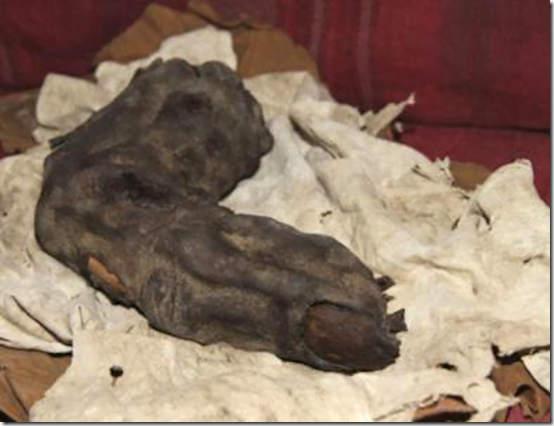 dedo gigante thumb Dedo gigante de 38 cm é encontrado no Egito