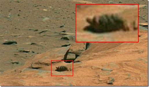 mars turtle thumb As anomalias mais misteriosas de Marte