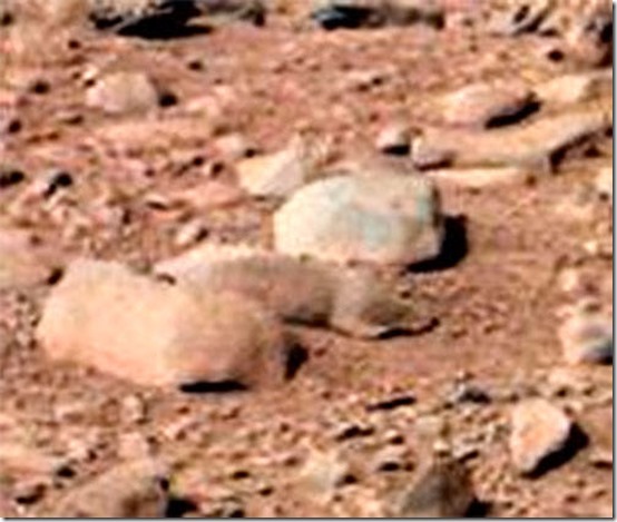 roedor marte thumb Um roedor em imagem de Marte?