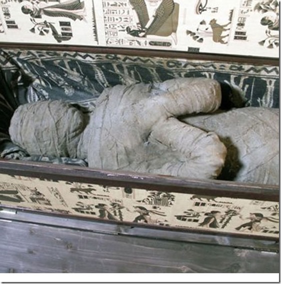 mumia alemanha thumb Múmia misteriosa encontrada no sótão de uma casa na Alemanha