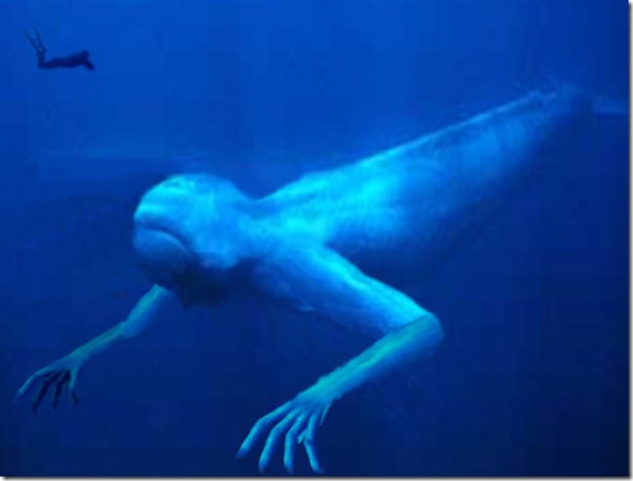 ningen 3 pollice Ningen, umanoidi Creature marine dell'Antartico