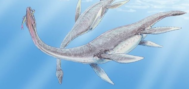 plesiossauro Encontrado monstro marinho de 130 milhões de anos de idade