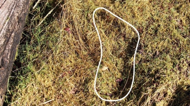 pegada pegrande e1394154772521 Pegadas de Pé Grande foram encontradas em Ilha de Vancouver